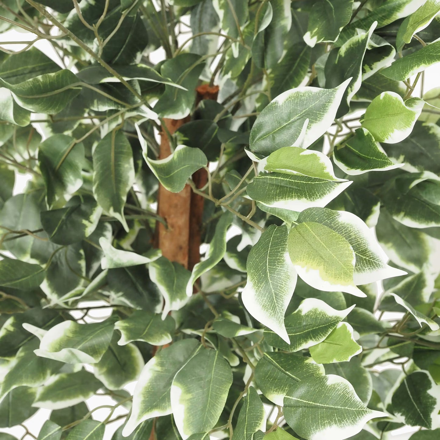 Ficus artificiel panaché 588 feuilles 120cm