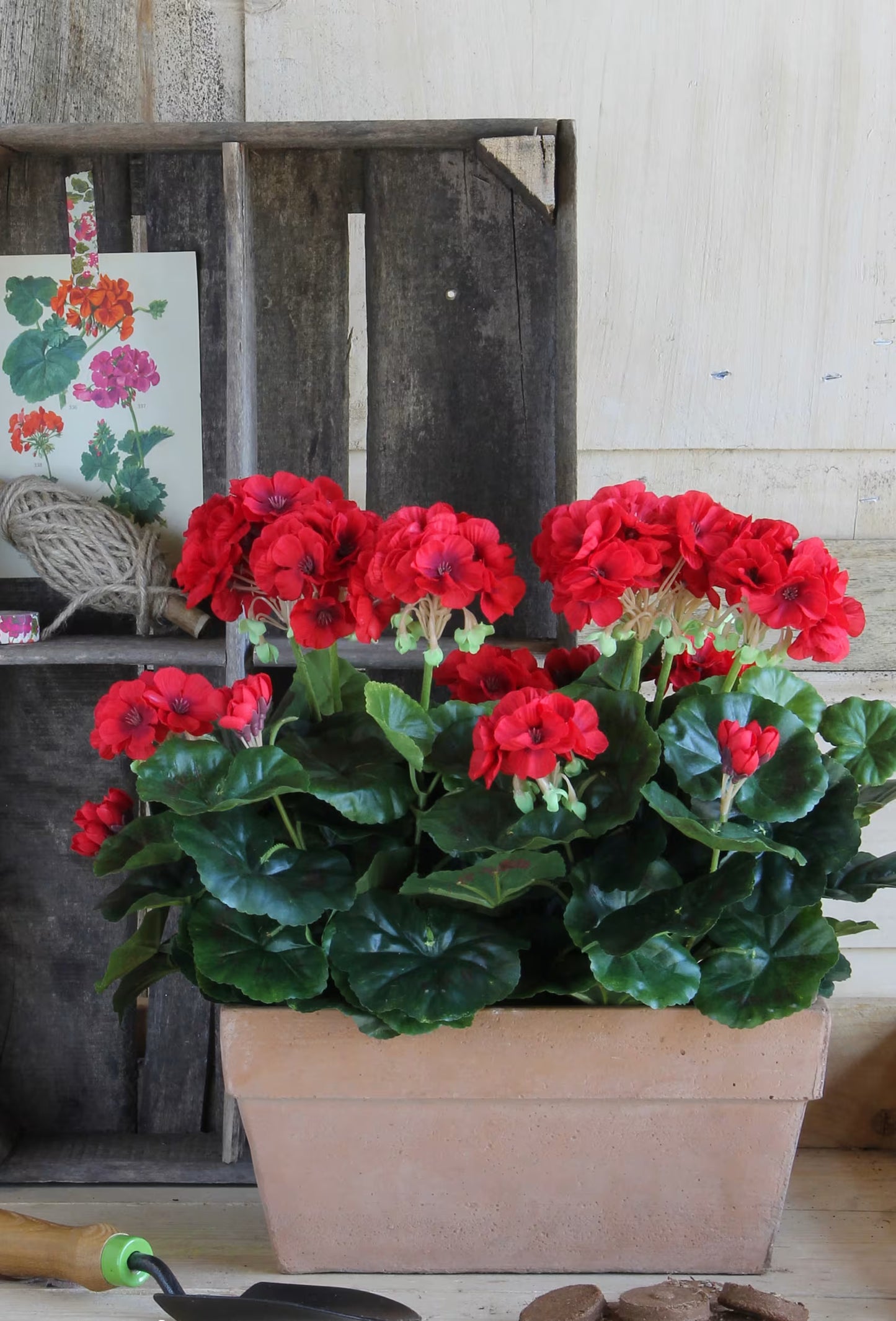 Geranium - Géranium plante artificielle rose foncé en pot H40