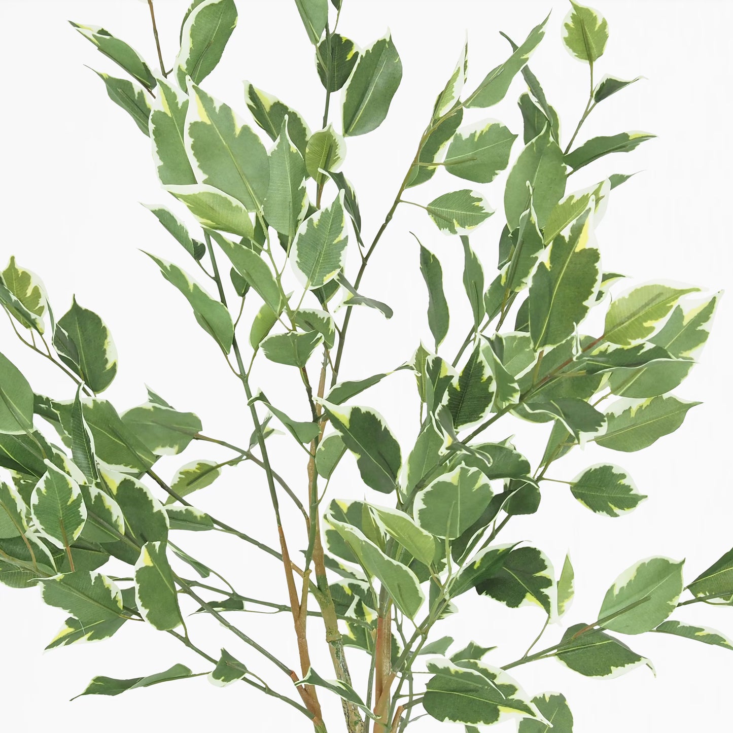 Ficus artificiel panaché 100cm