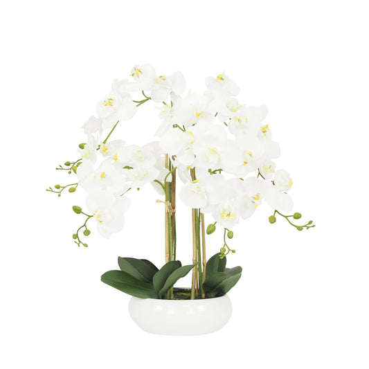 Orchidées artificielles blanche 55cm